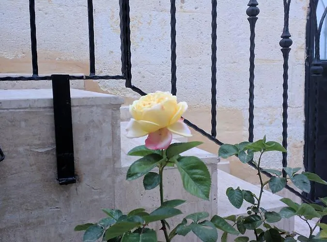 Guest house Sendian-guesthouse (adults Only)